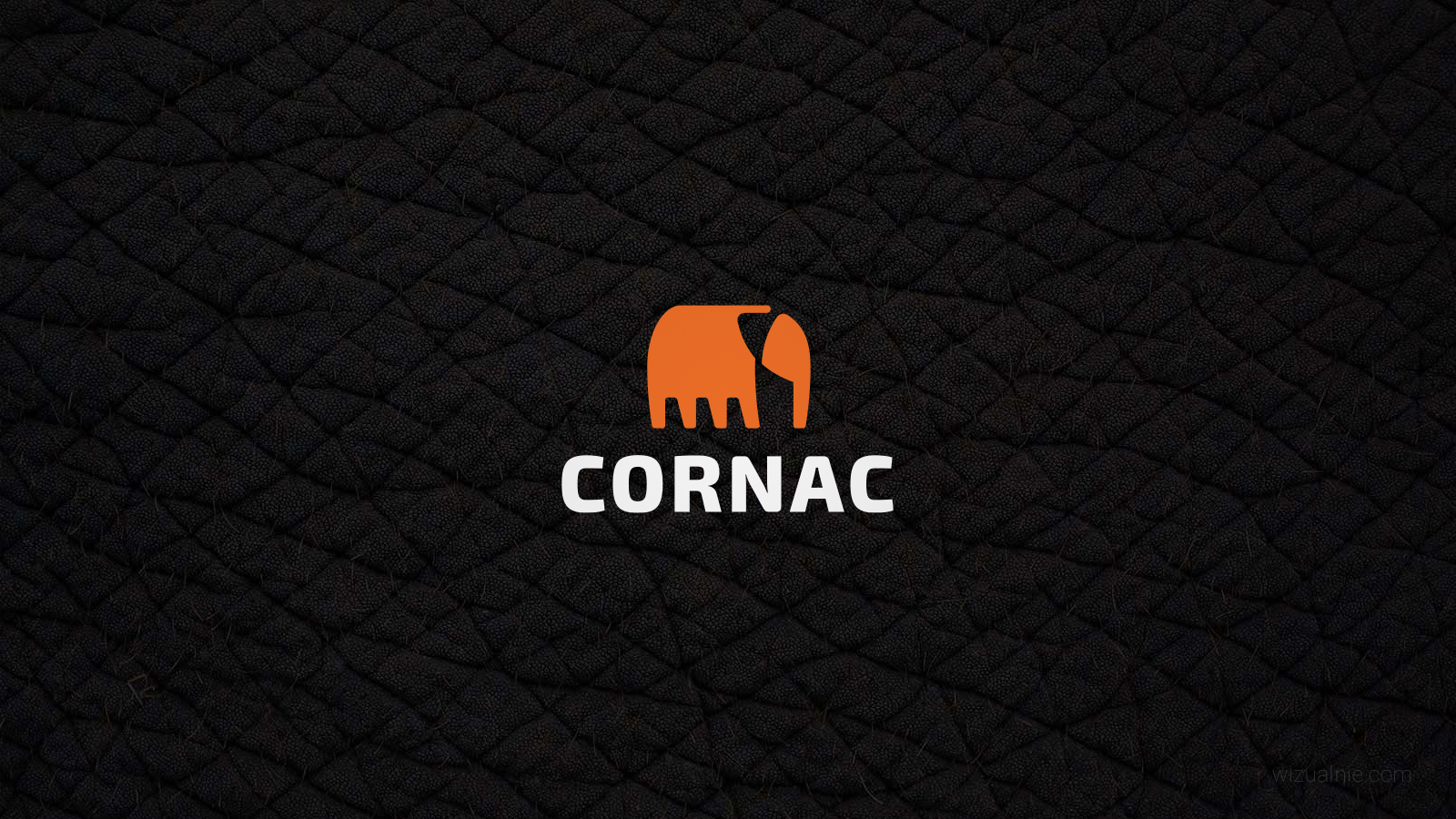 wizualnie-portfolio-cornac-logo-02